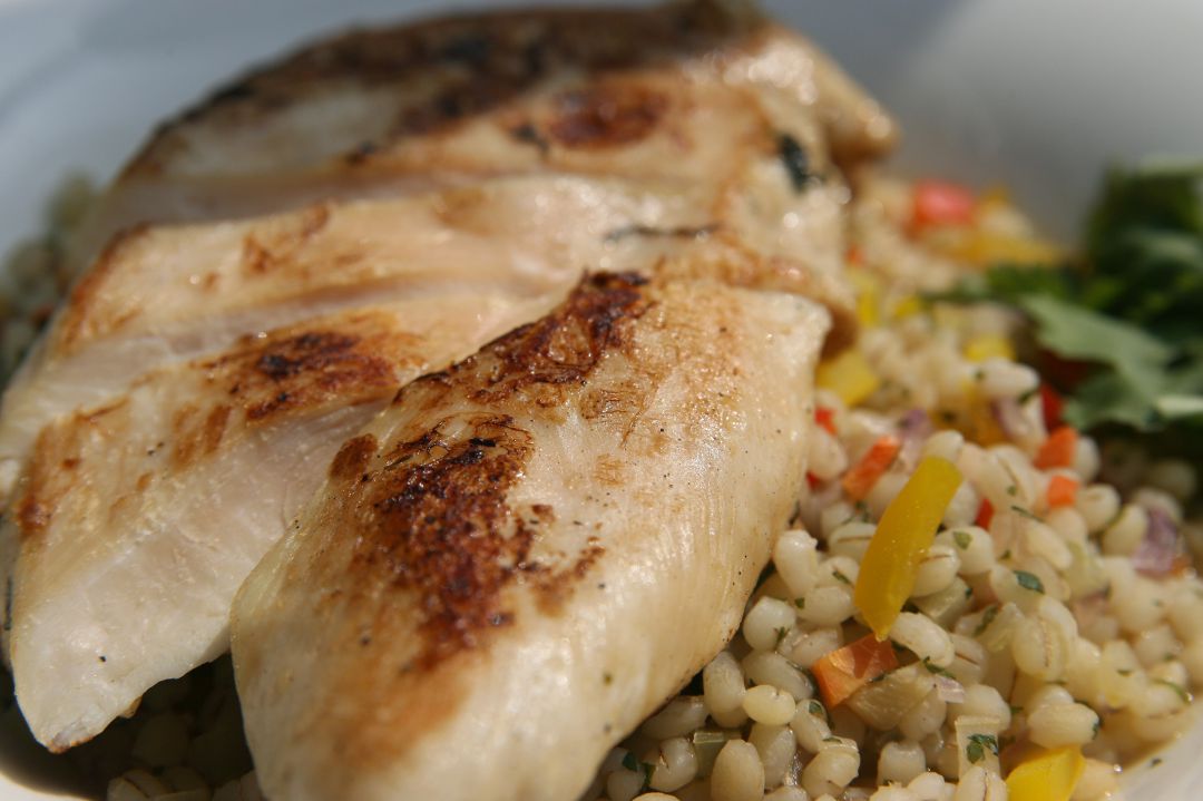 Foto de un filete de pechuga de pollo a la plancha Foto de un filete de pechuga de pollo a la plancha