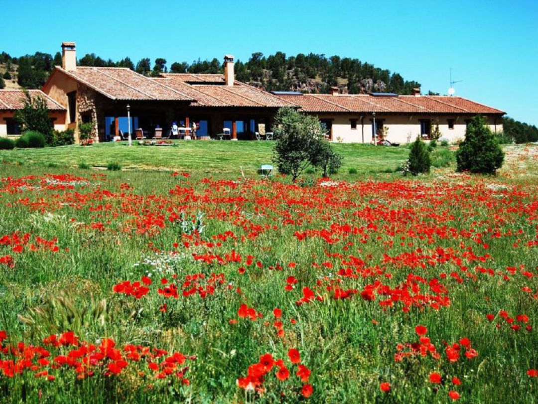 Desde el Plan ‘ReinvenTa’ dedicado al Turismo, la institución provincial ha destinado 70.000 euros a los bonos ‘ReinvenTa tus vacaciones’ Desde el Plan ‘ReinvenTa’ dedicado al Turismo, la institución provincial ha destinado 70.000 euros a los bonos ‘ReinvenTa tus vacaciones’