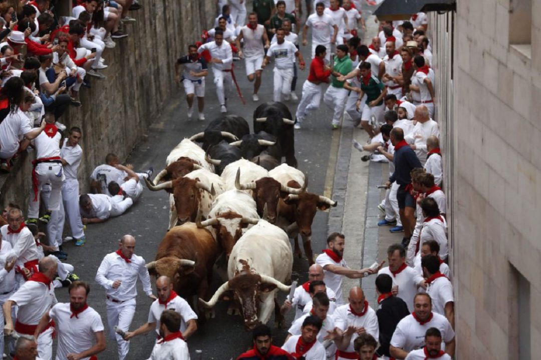 Toros de Puerto de San Lorenzo abren los encierros de los Sanfermines 2019 Toros de Puerto de San Lorenzo abren los encierros de los Sanfermines 2019
