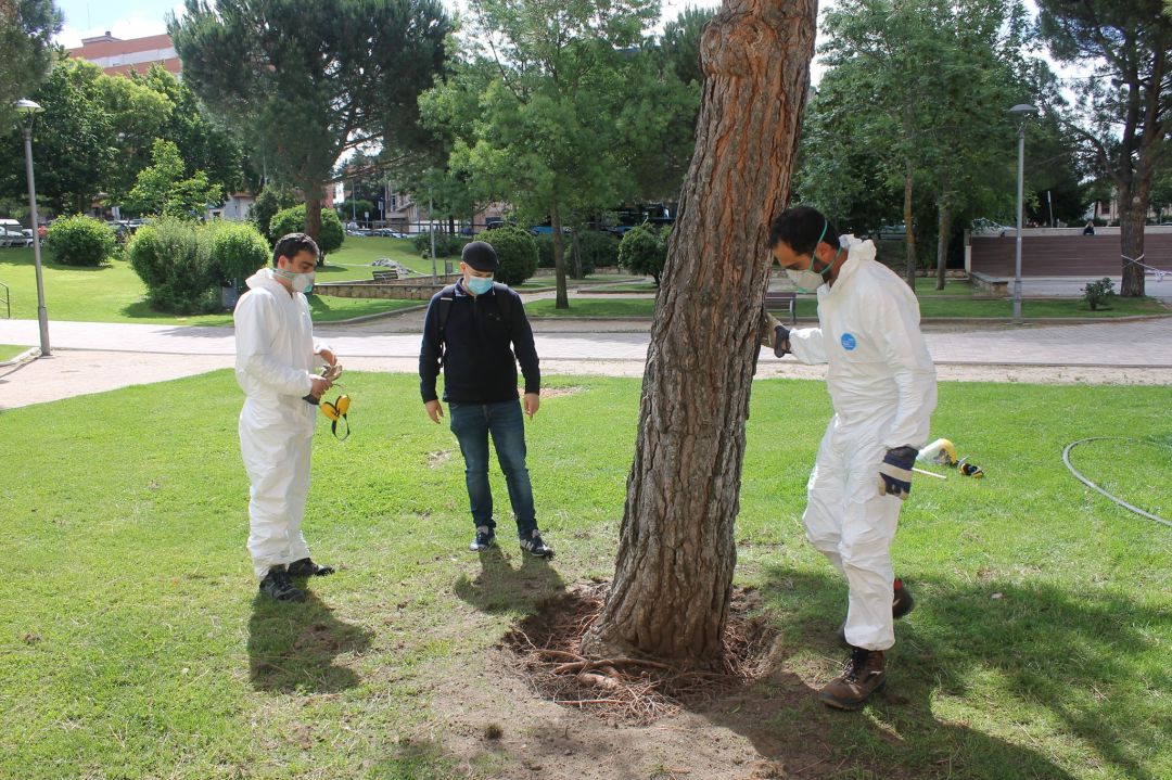 El concejal de Medio Ambiente junto a trabajadores de la concejalía revisando el estado de los árboles en este parque de la ciudad. El concejal de Medio Ambiente junto a trabajadores de la concejalía revisando el estado de los árboles en este parque de la ciudad.