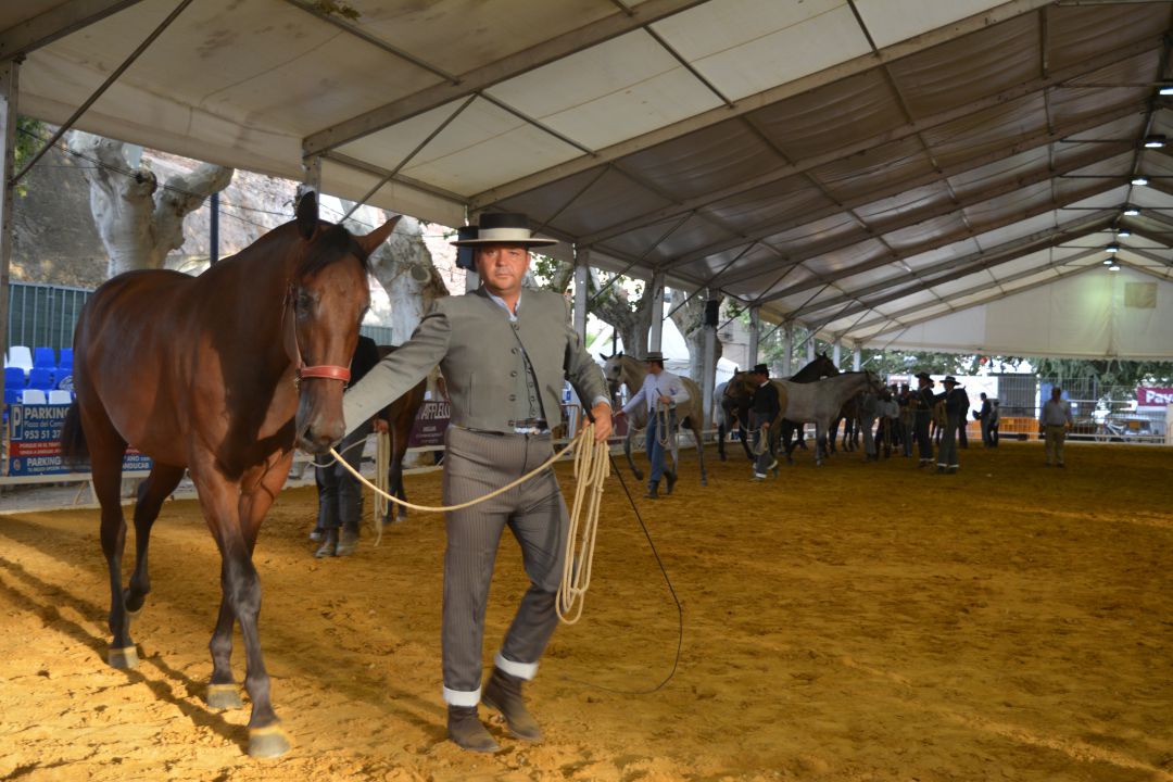 Suspendida Anducab y la Feria Multisectorial de Andújar 2020. Suspendida Anducab y la Feria Multisectorial de Andújar 2020.