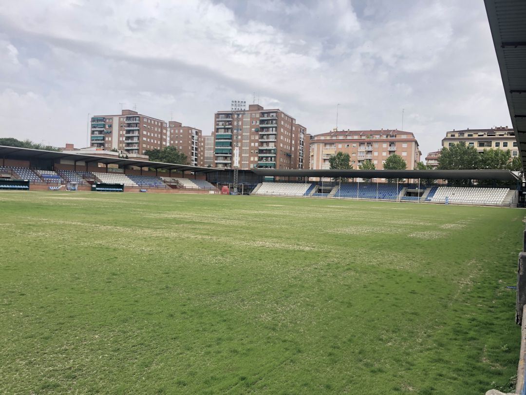 Nuevo césped Municipal el Prado Nuevo césped Municipal el Prado