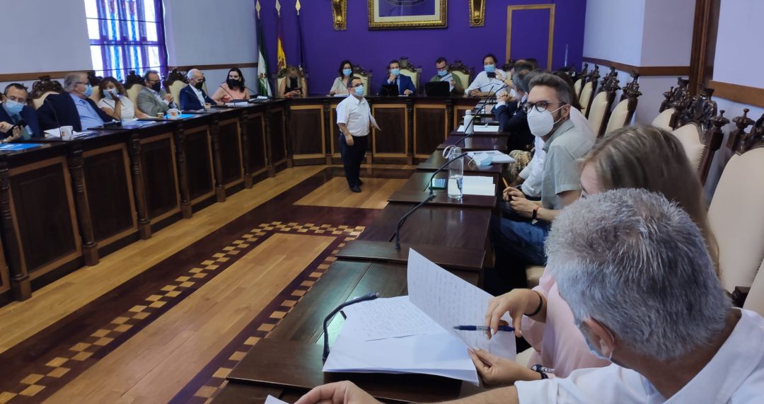 Concejales del Ayuntamiento de Jaén durante el pleno de esta mañana. Concejales del Ayuntamiento de Jaén durante el pleno de esta mañana.