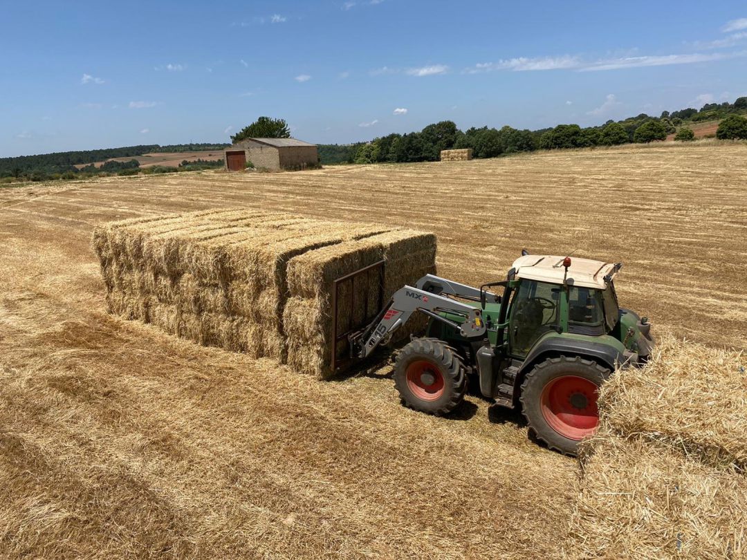 Forestalia necesita 70.000 toneladas de paja al año para alimentarse Forestalia necesita 70.000 toneladas de paja al año para alimentarse