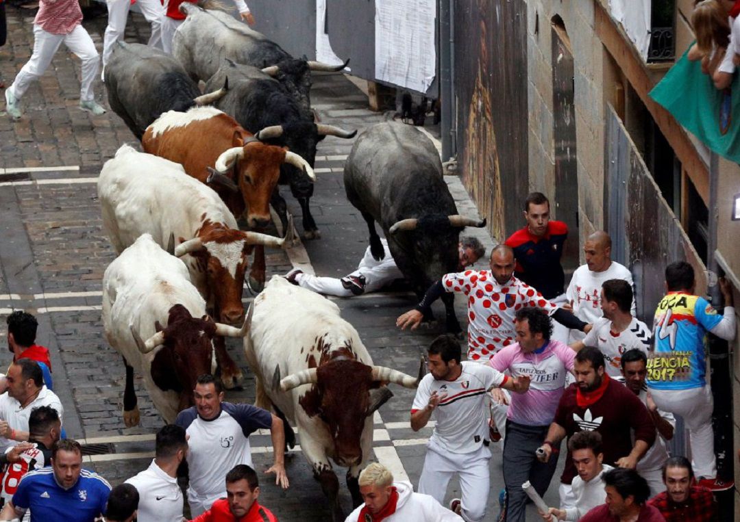 Un 9 de julio de 2019... Cabalgada veloz de los José Escolar sin cornadas Un 9 de julio de 2019... Cabalgada veloz de los José Escolar sin cornadas