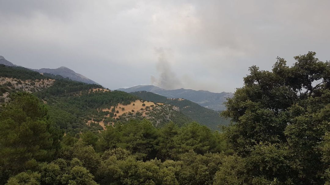 Avanza el incendio declarado ayer tarde en el Parque Natural de Cazorla, Segura y las Villas, en el Paraje del Caballo de Quesada Avanza el incendio declarado ayer tarde en el Parque Natural de Cazorla, Segura y las Villas, en el Paraje del Caballo de Quesada
