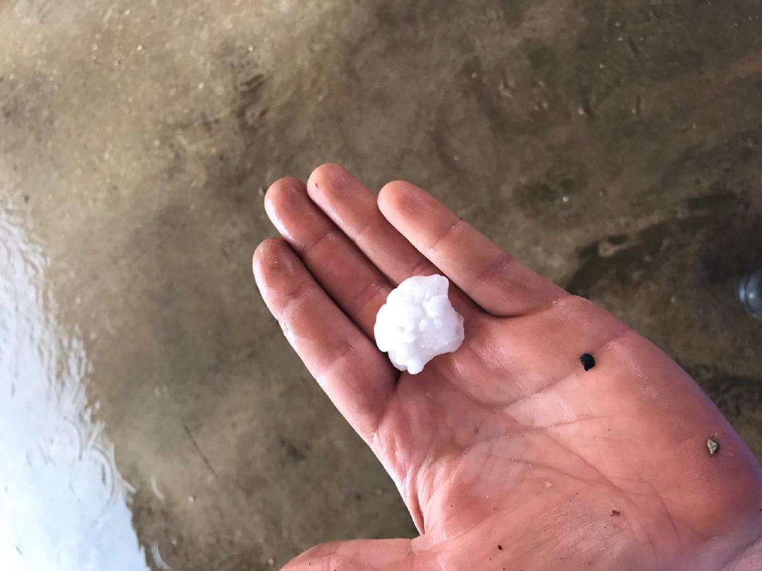 Imágenes del granizo que ha caído este jueves en Tomelloso Imágenes del granizo que ha caído este jueves en Tomelloso