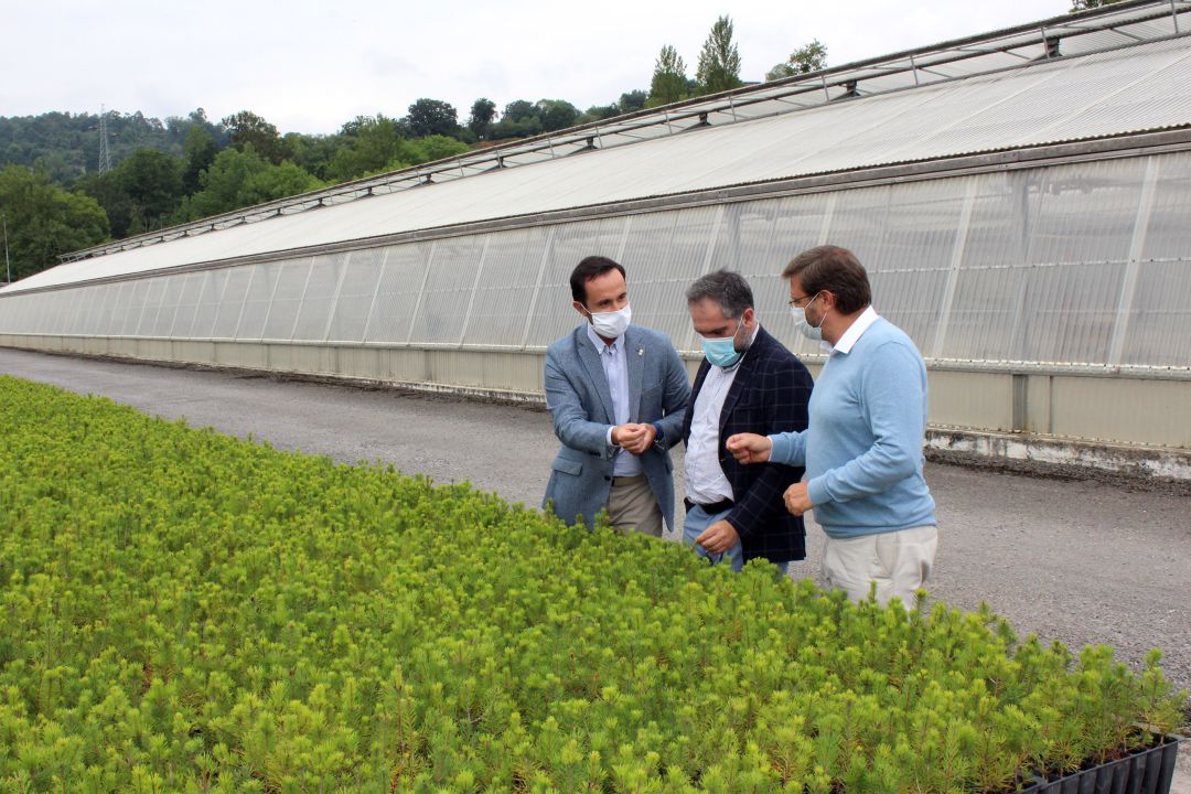 Los responsables de la administración autonómica junto al de Medio Rural de Caja Rural de Asturias. Los responsables de la administración autonómica junto al de Medio Rural de Caja Rural de Asturias.