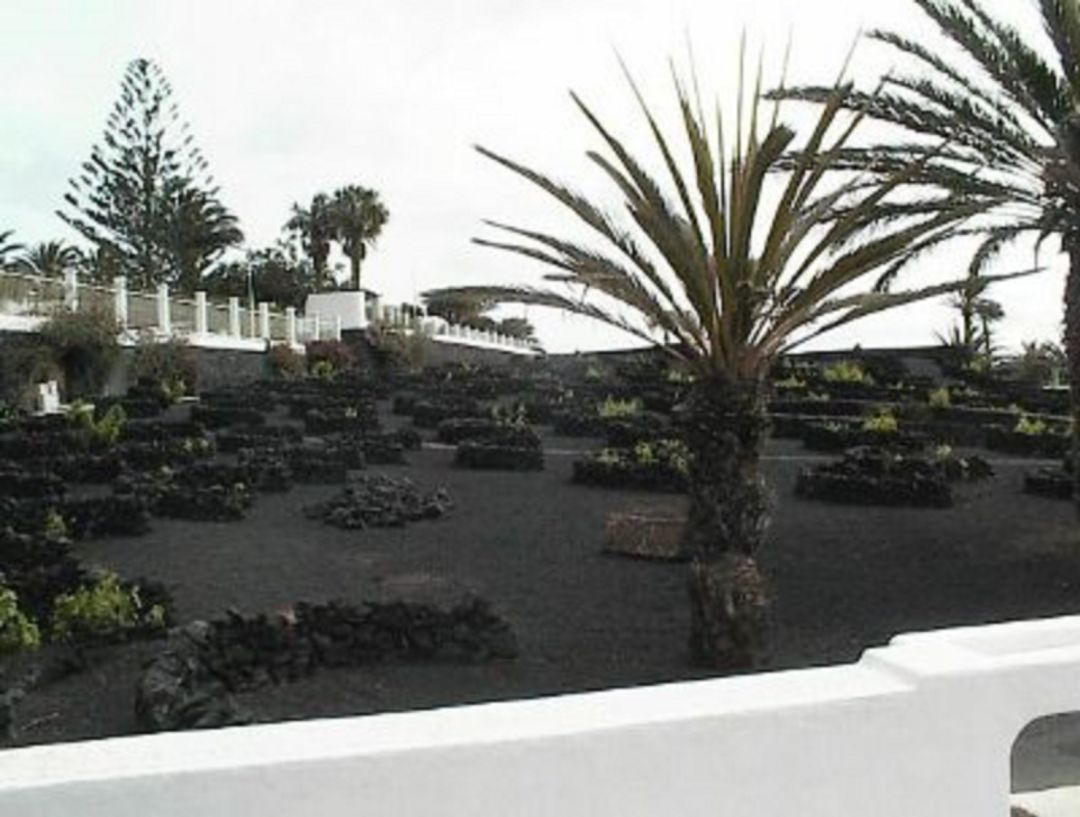 Centro de Día Las Cabreras,en Lanzarote. Centro de Día Las Cabreras,en Lanzarote.
