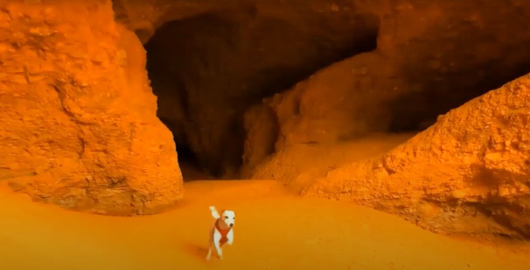 Un perro en Las Médulas Un perro en Las Médulas