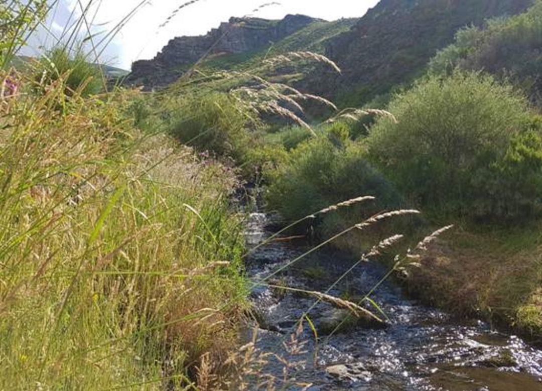 Tramo fluvial protegido Tramo fluvial protegido