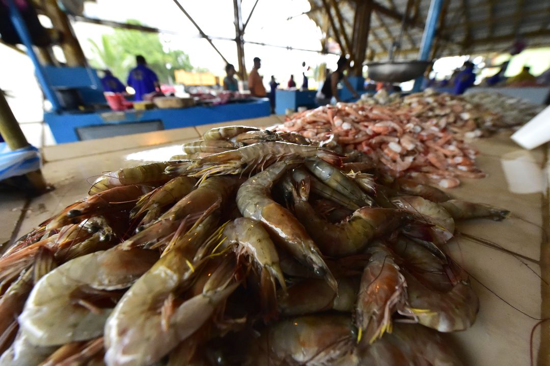 Unos camarones se venden en el mercado de Playita Mia en Manta, Ecuador Unos camarones se venden en el mercado de Playita Mia en Manta, Ecuador