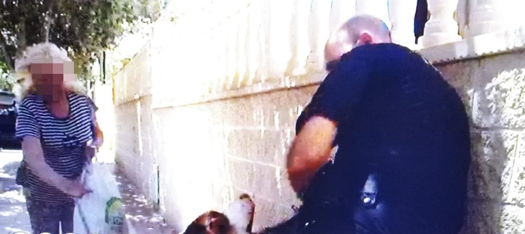 Imagen del detenido, la mujer que le acompañaba y su perro Imagen del detenido, la mujer que le acompañaba y su perro