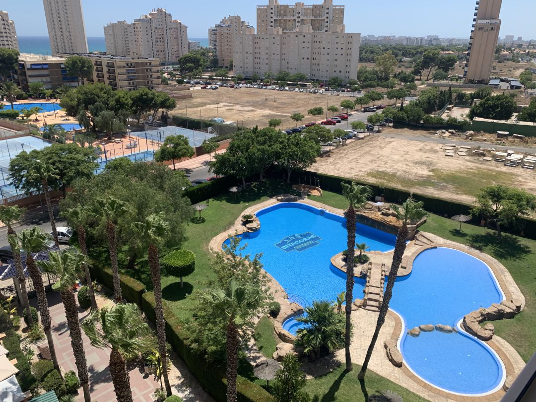 La piscina de la urbanización "Las Bitácoras 2" de El Campello ha sido desalojada La piscina de la urbanización "Las Bitácoras 2" de El Campello ha sido desalojada