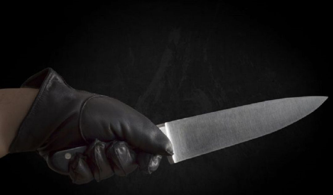 Cuchillo de cocina. Cuchillo de cocina.