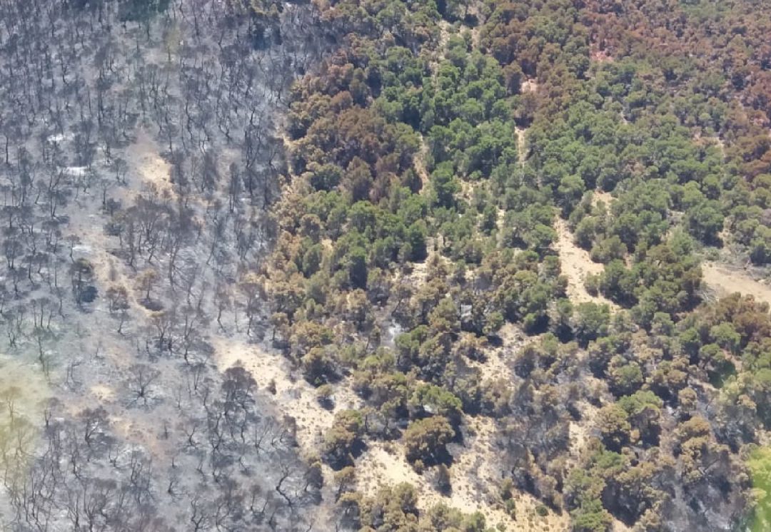 Esta es la imágen de cómo ha quedado el lugar tras el incendio declarado hace unos días en Quesada Esta es la imágen de cómo ha quedado el lugar tras el incendio declarado hace unos días en Quesada