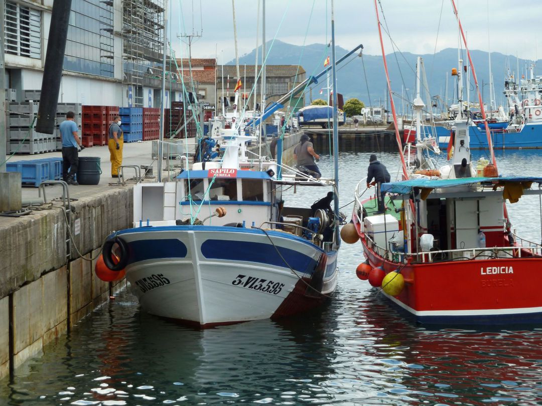 Puerto de Santoña. Puerto de Santoña.