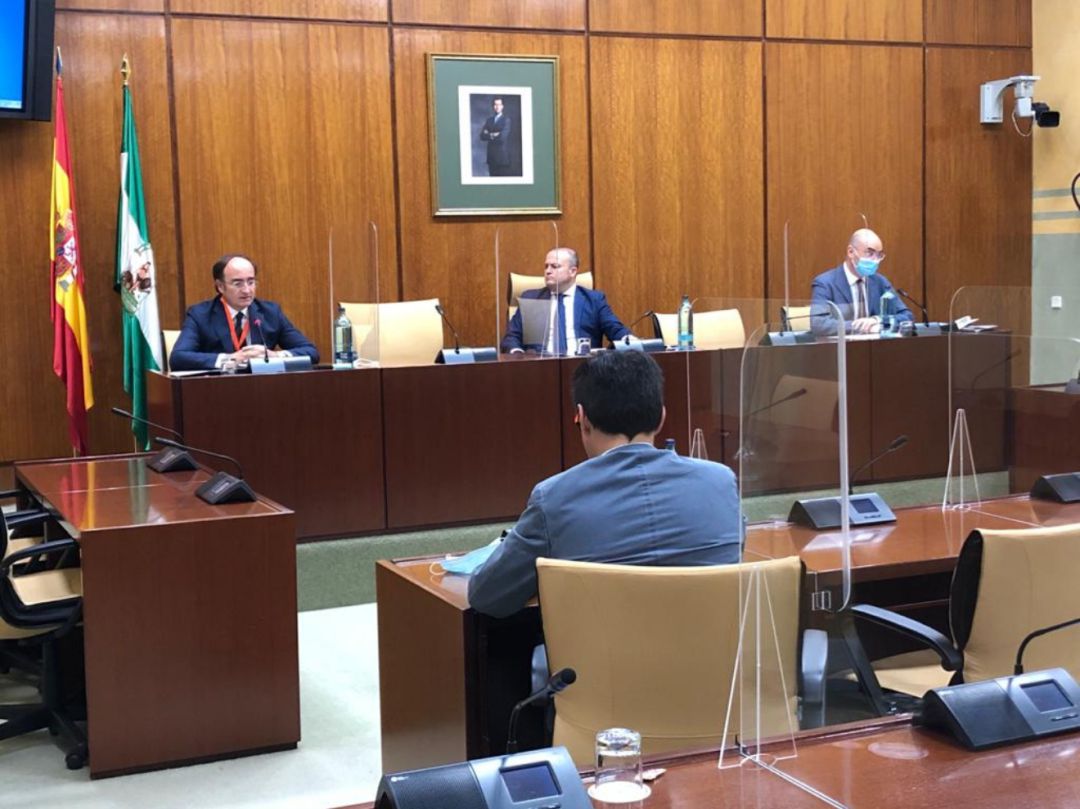 Gerardo Landaluce, ante la Comisión parlamentaria Gerardo Landaluce, ante la Comisión parlamentaria