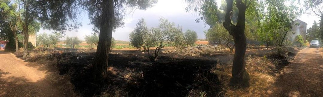 Imagen de cómo quedó el terreno tras uno de los incendios Imagen de cómo quedó el terreno tras uno de los incendios