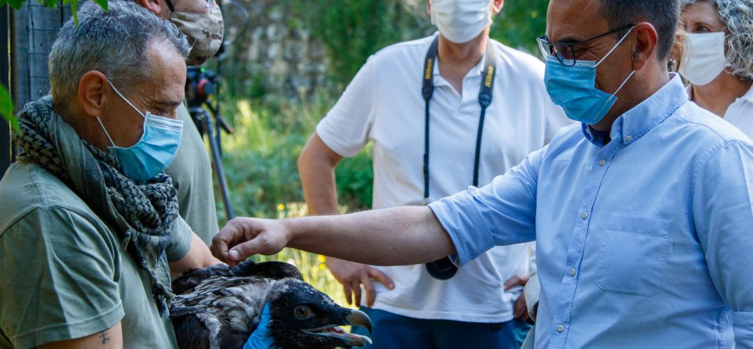 El director general de Medio Natural, Biodiversidad y Espacios Protegidos, Ángel Sánchez, visita el centro donde se crían los Quebrantahuesos. El director general de Medio Natural, Biodiversidad y Espacios Protegidos, Ángel Sánchez, visita el centro donde se crían los Quebrantahuesos.