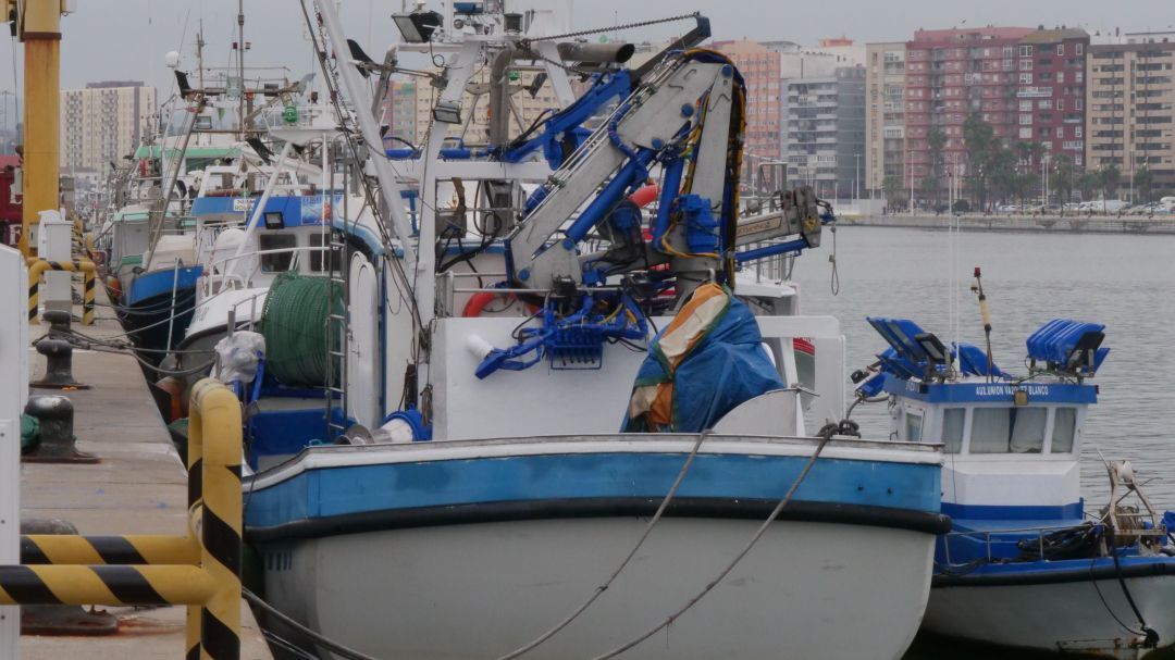 Pesqueros en el puerto de Algeciras Pesqueros en el puerto de Algeciras