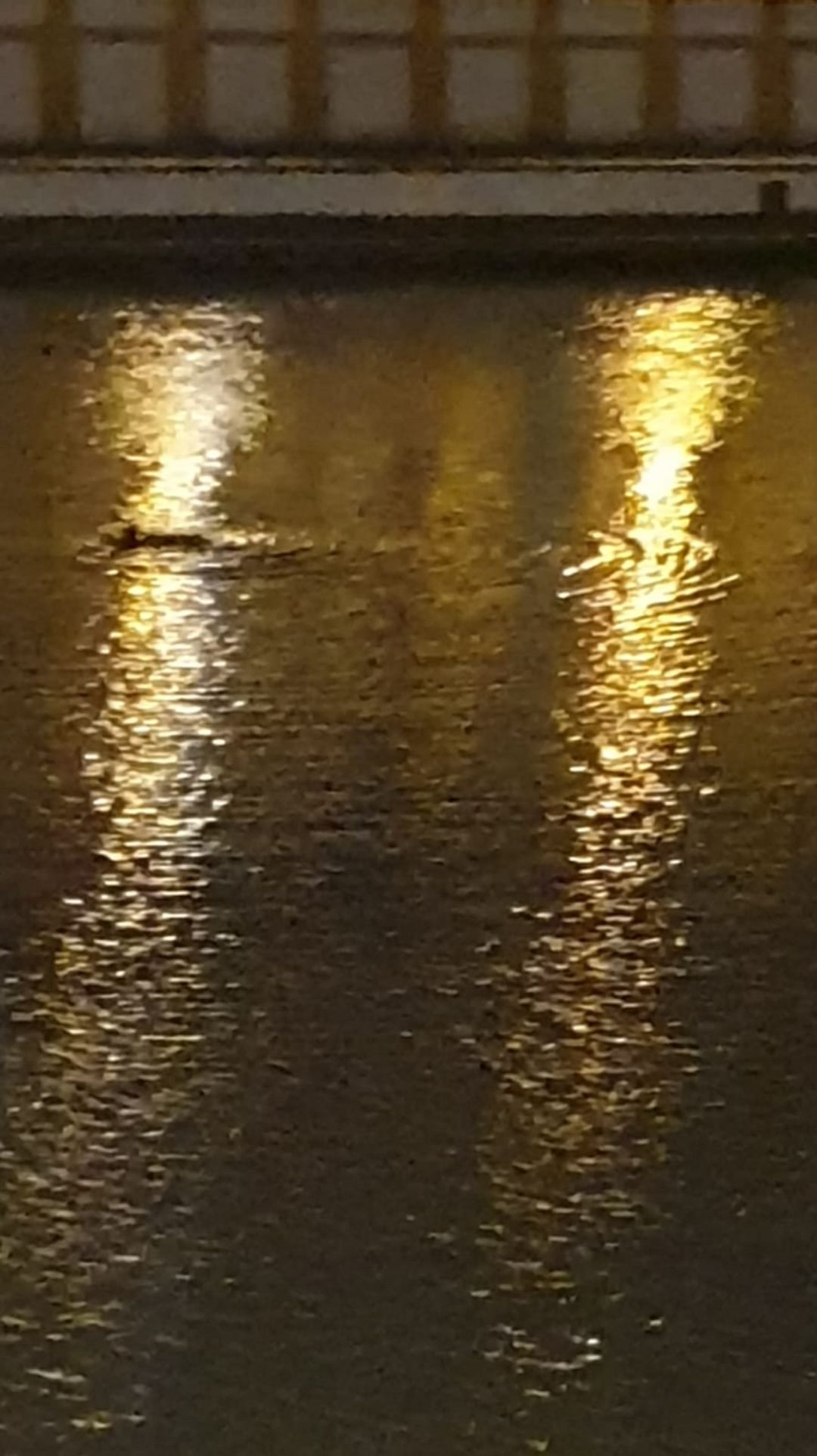 Un hombre se arroja al río Un hombre se arroja al río