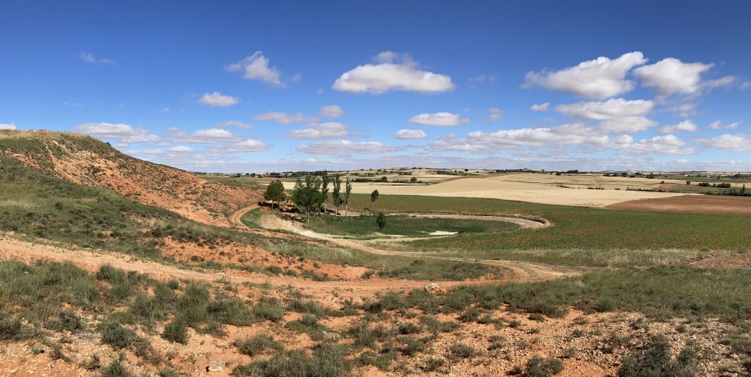 Paraje por el que discurre el sendero PR-CU 122 hasta el pozo Airón de La Almarcha (Cuenca). Paraje por el que discurre el sendero PR-CU 122 hasta el pozo Airón de La Almarcha (Cuenca).