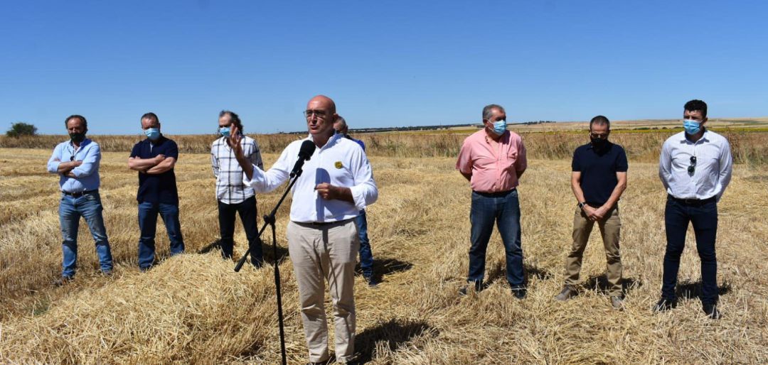 El consejero de Agricultura, Jesús Julio Carnero, durante la presentación de la cosecha de cereal 2020. El consejero de Agricultura, Jesús Julio Carnero, durante la presentación de la cosecha de cereal 2020.