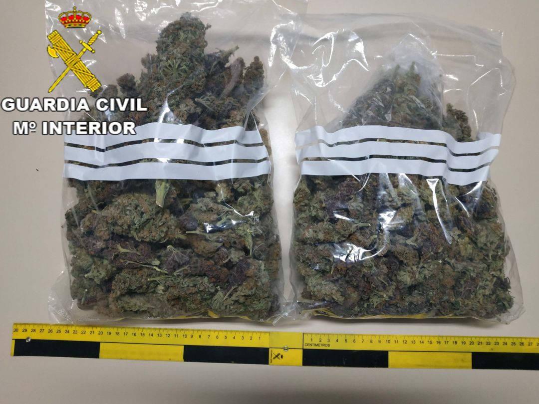 Bolsas con marihuana Bolsas con marihuana