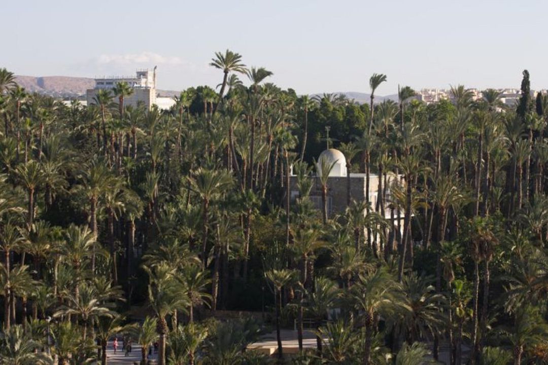 Palmeral Histórico Palmeral Histórico