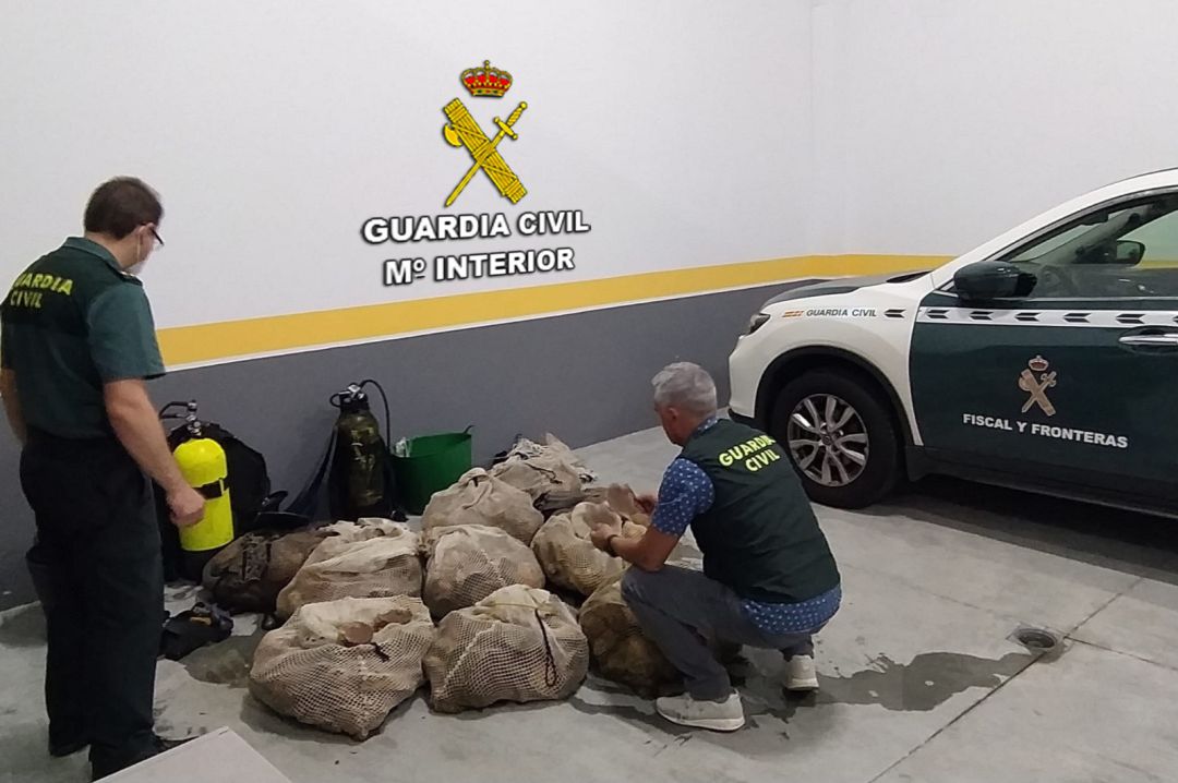 La Guardia Civil con los 300 kilos de vieiras interceptadas en Vigo La Guardia Civil con los 300 kilos de vieiras interceptadas en Vigo