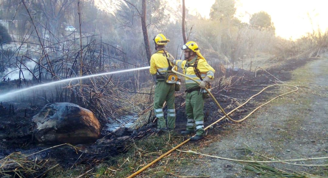 Agentes medioambientales y brigadas forestales refuerzan durante el verano las tareas para la prevención de incendios Agentes medioambientales y brigadas forestales refuerzan durante el verano las tareas para la prevención de incendios
