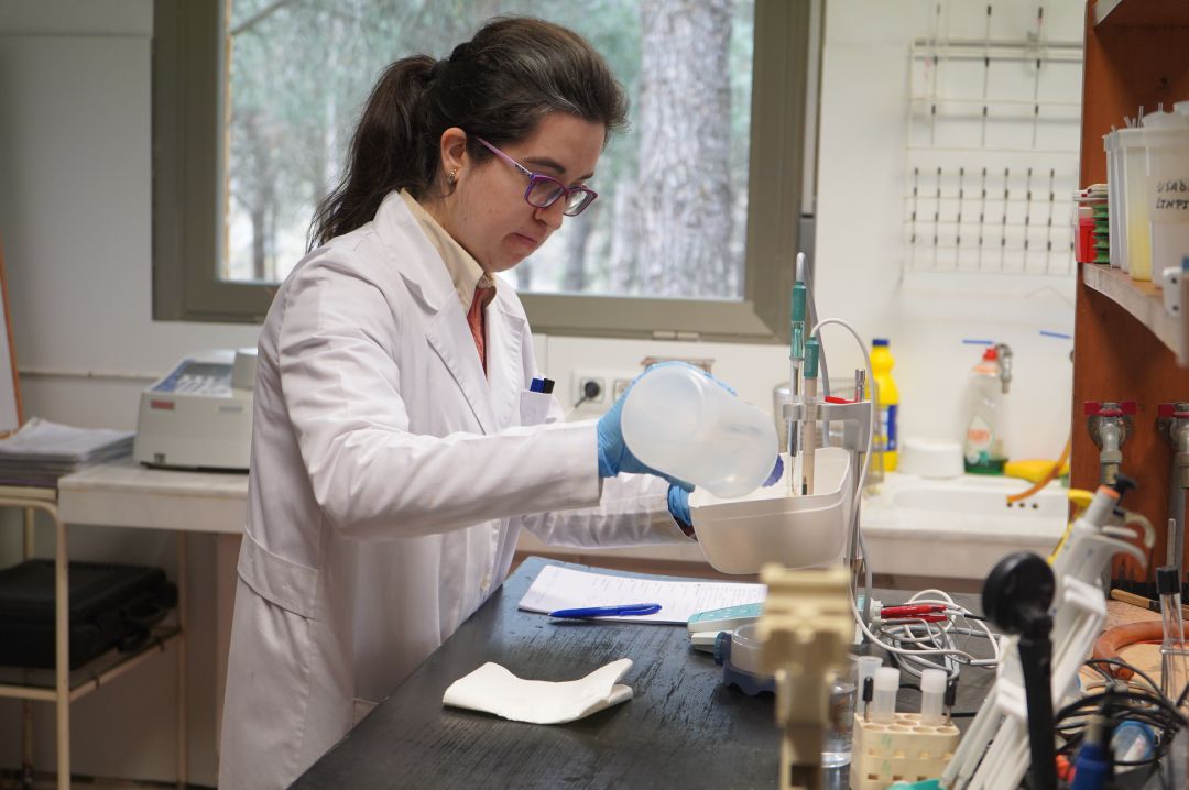 Laboratorio de la Diputación de Segovia donde se realizan los análisis de agua. Laboratorio de la Diputación de Segovia donde se realizan los análisis de agua.