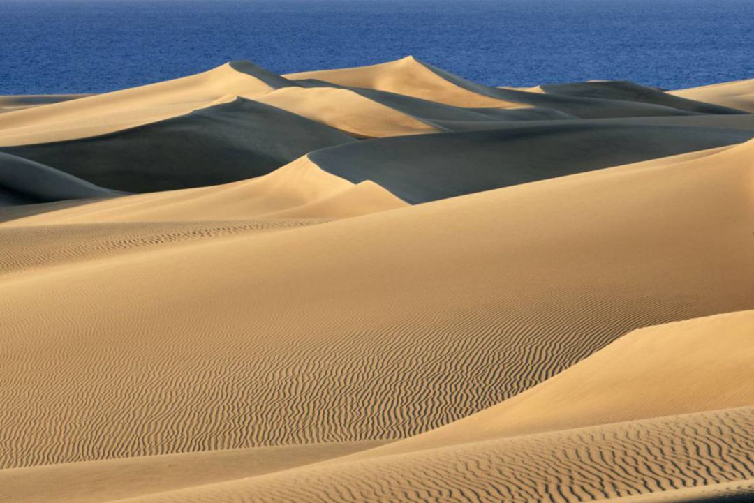 Dunas de Maspalomas Dunas de Maspalomas