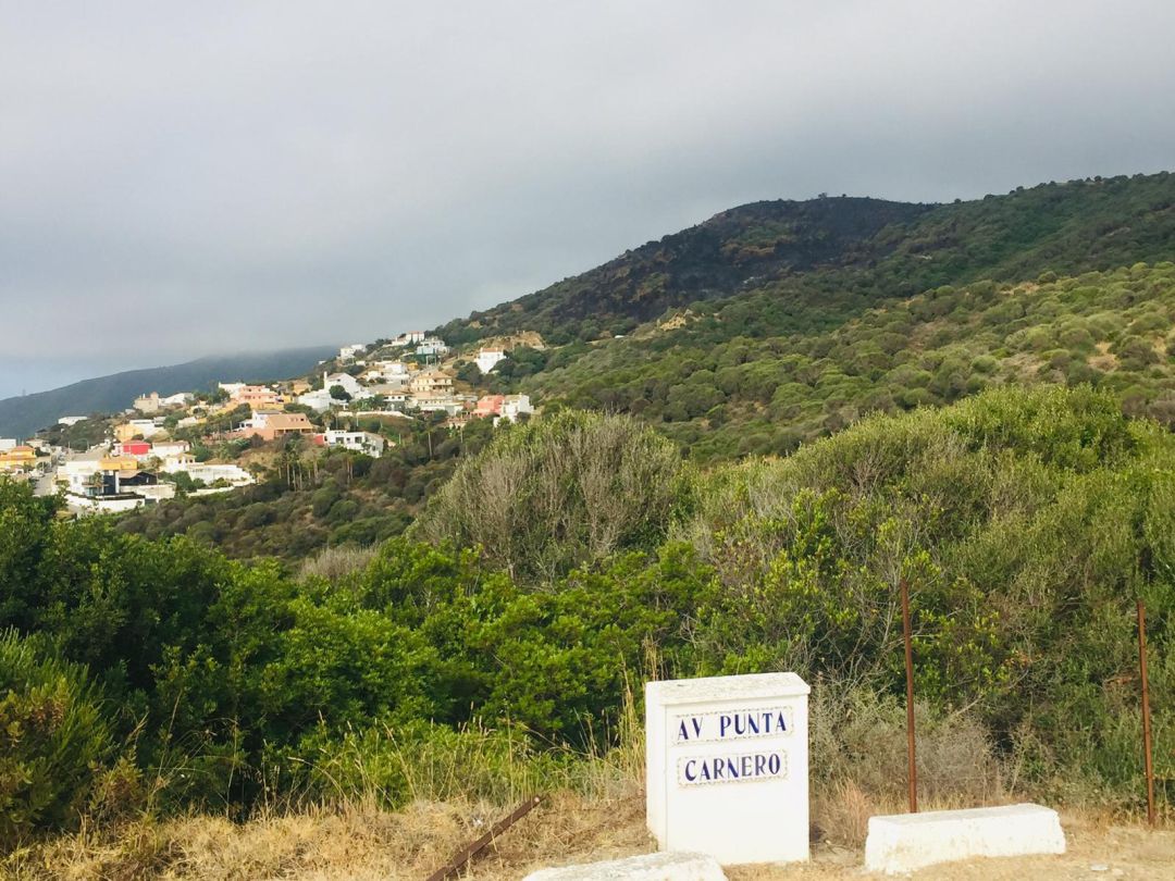 Zona de Punta Carnero, afectada por uno de los incendios de las últimas horas Zona de Punta Carnero, afectada por uno de los incendios de las últimas horas
