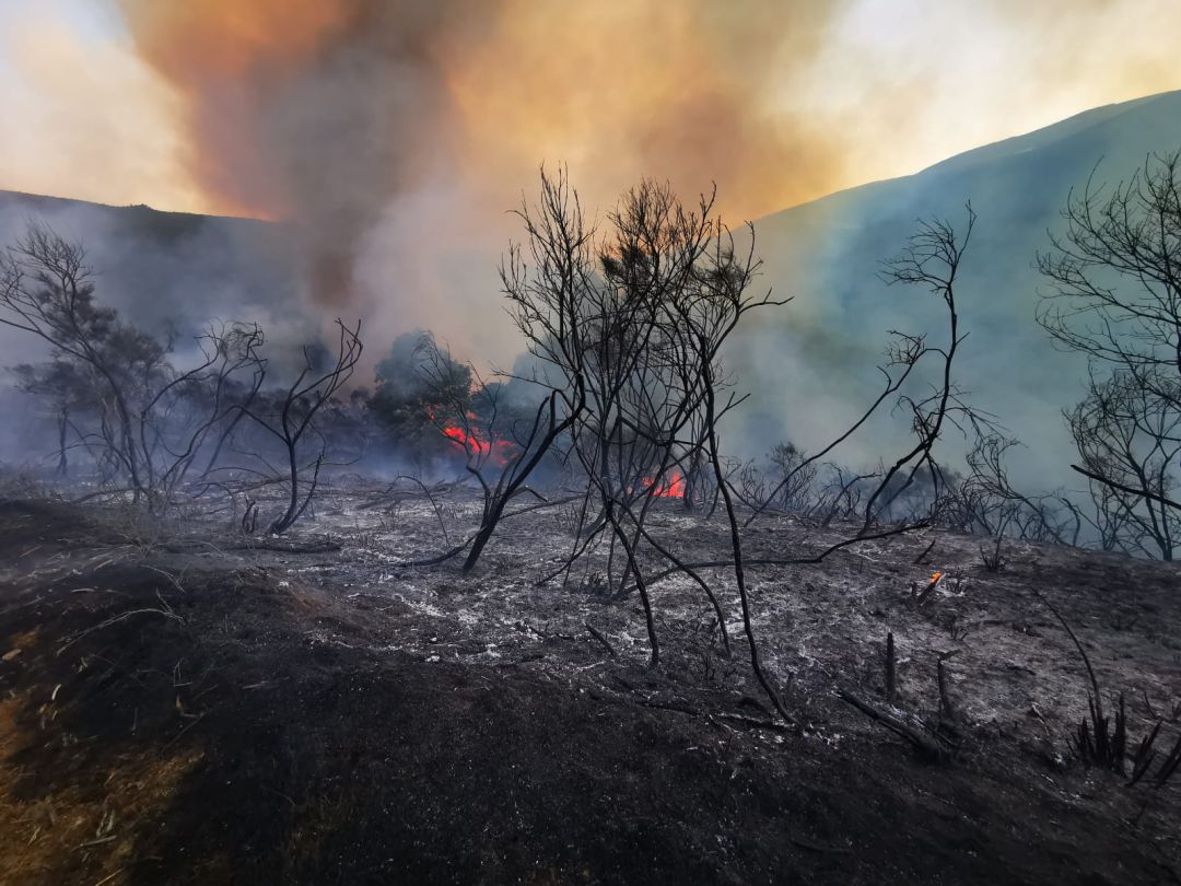 Incendio Incendio