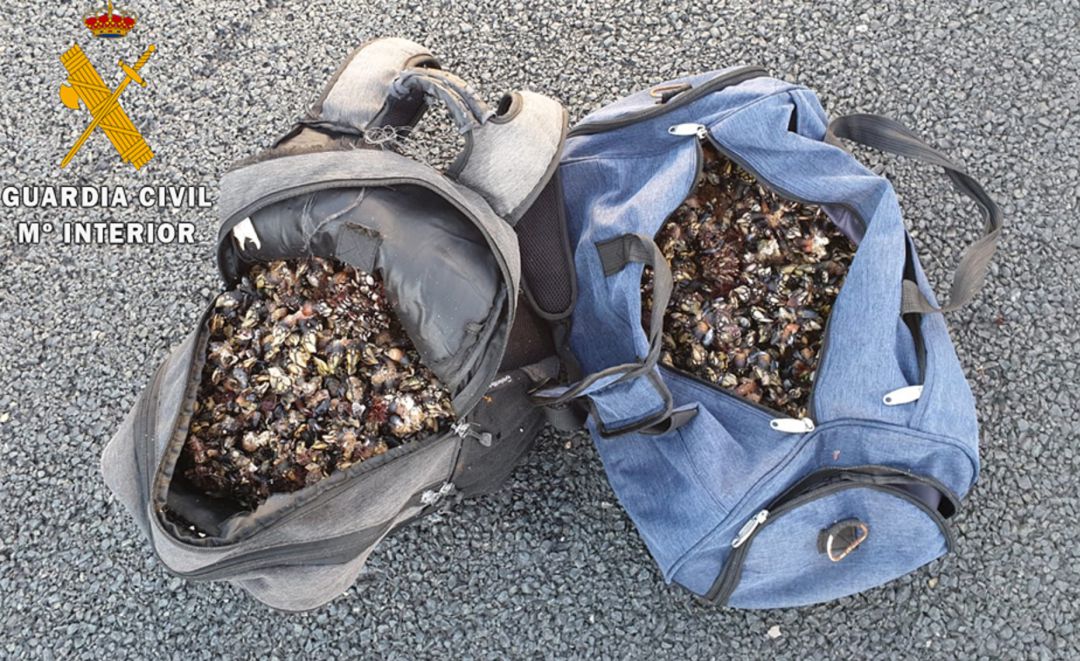 Percebes decomisados. Percebes decomisados.