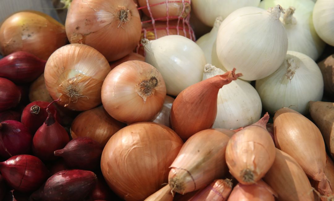Las diferentes variedades de cebollas que debes utilizar en cada comida. Las diferentes variedades de cebollas que debes utilizar en cada comida.