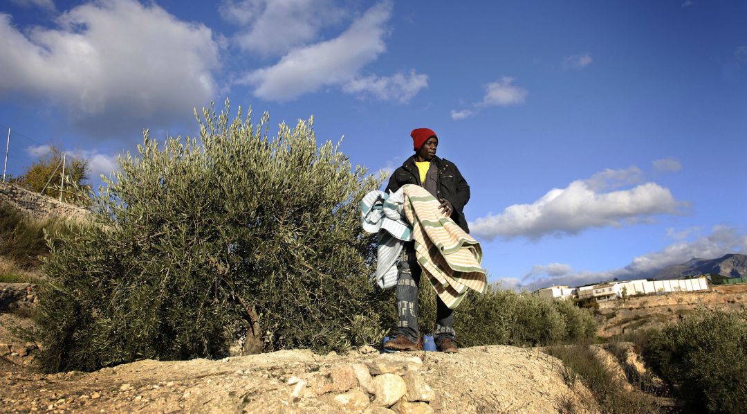 Inmigrantes llegarán, como cada año, a la provincia desde noviembre para la recogida de la aceituna en Jaén Inmigrantes llegarán, como cada año, a la provincia desde noviembre para la recogida de la aceituna en Jaén