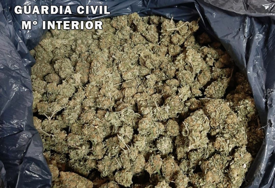 Marihuana incautada por la Guardia Civil en esta operación. Marihuana incautada por la Guardia Civil en esta operación.