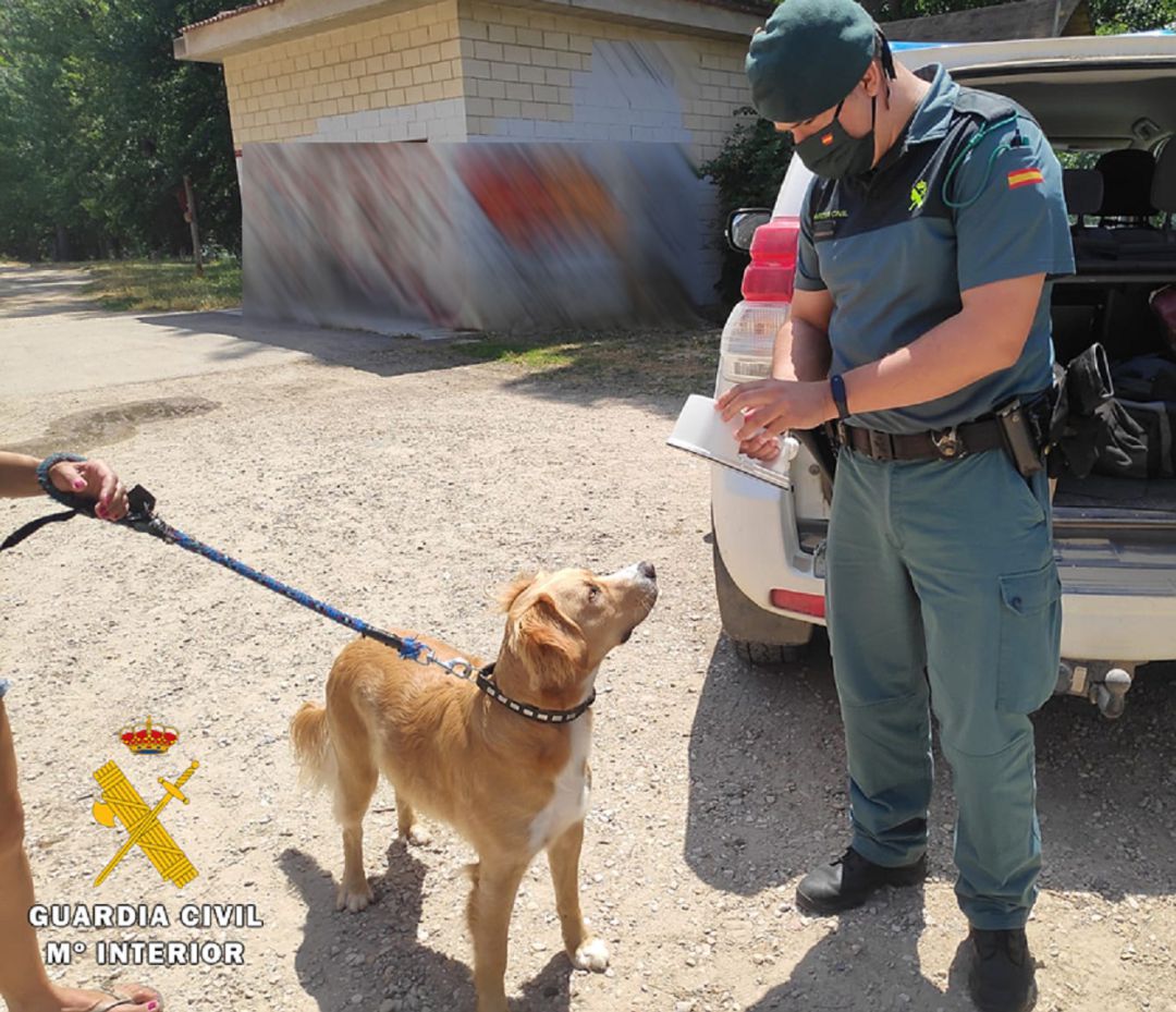 Imagen facilitada por lal Guardia Civil Imagen facilitada por lal Guardia Civil