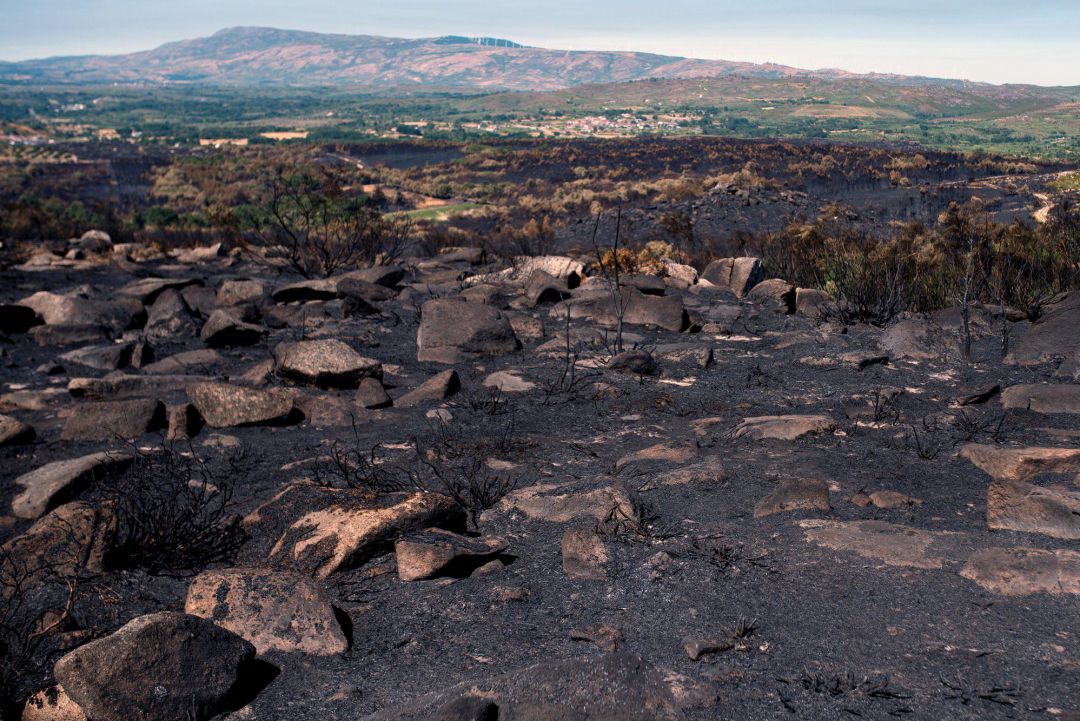 -FOTODELDIA- MONTERREI (OURENSE) 27072020.- Vista de una zona calcinada, este lunes, tras estabilizarse el incendio forestal declarado en Monterrei (Ourense) el pasado viernes. Una vez estabilizado, los equipos de extinción tratan de acabar por completo con las llamas del incendio forestal que se inició el viernes en el municipio de Monterrei (Ourense), y que junto a los ya apagados en Verín y Viana do Bolo han quemado casi mil hectáreas de monte. EFEBrais Lorenzo -FOTODELDIA- MONTERREI (OURENSE) 27072020.- Vista de una zona calcinada, este lunes, tras estabilizarse el incendio forestal declarado en Monterrei (Ourense) el pasado viernes. Una vez estabilizado, los equipos de extinción tratan de acabar por completo con las llamas del incendio forestal que se inició el viernes en el municipio de Monterrei (Ourense), y que junto a los ya apagados en Verín y Viana do Bolo han quemado casi mil hectáreas de monte. EFEBrais Lorenzo