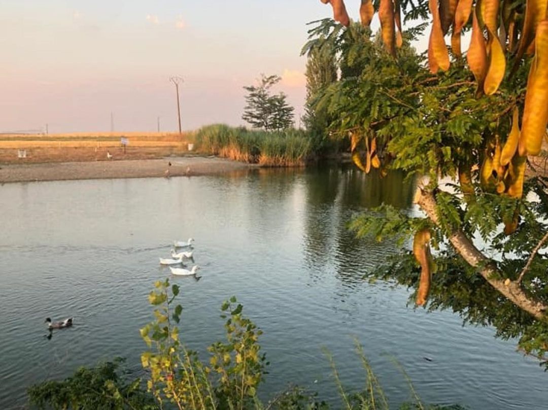 Pozaldez es uno de los municipios de la comarca con actividades veraniegas Pozaldez es uno de los municipios de la comarca con actividades veraniegas