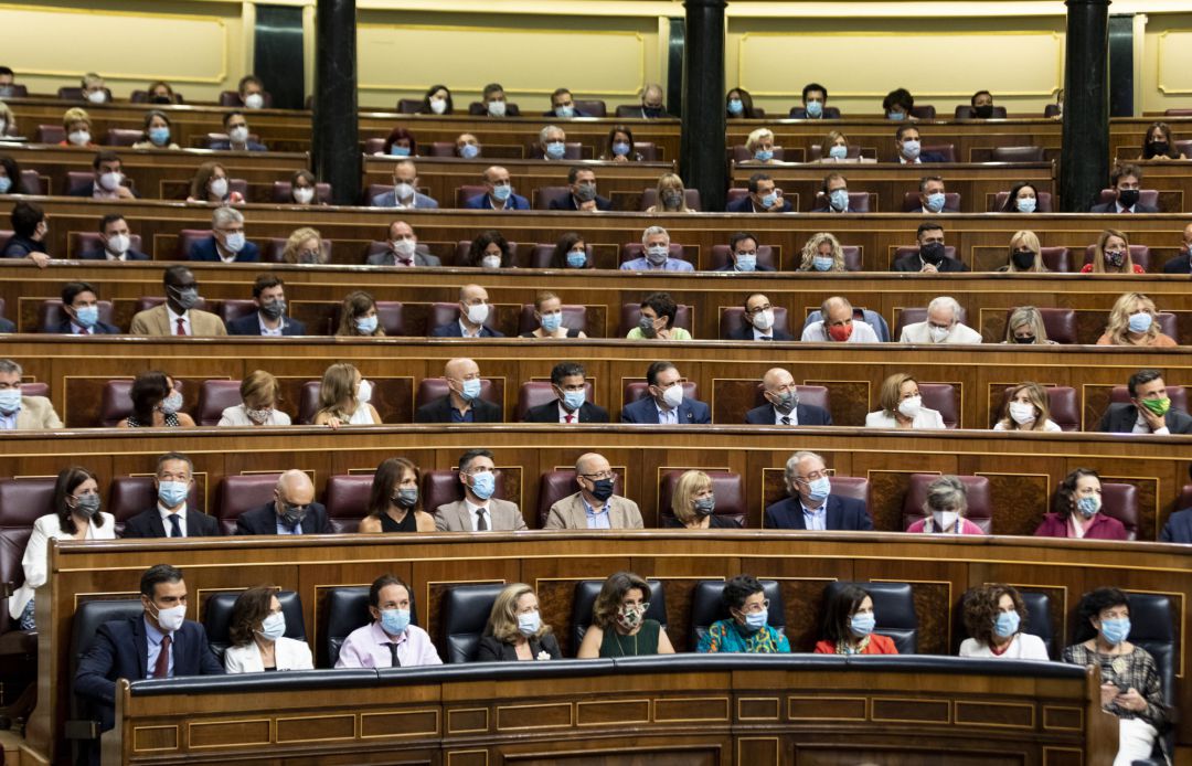 Plano general de la bancada socialista en la sesión plenaria de este miércoles en el Congreso. Plano general de la bancada socialista en la sesión plenaria de este miércoles en el Congreso.