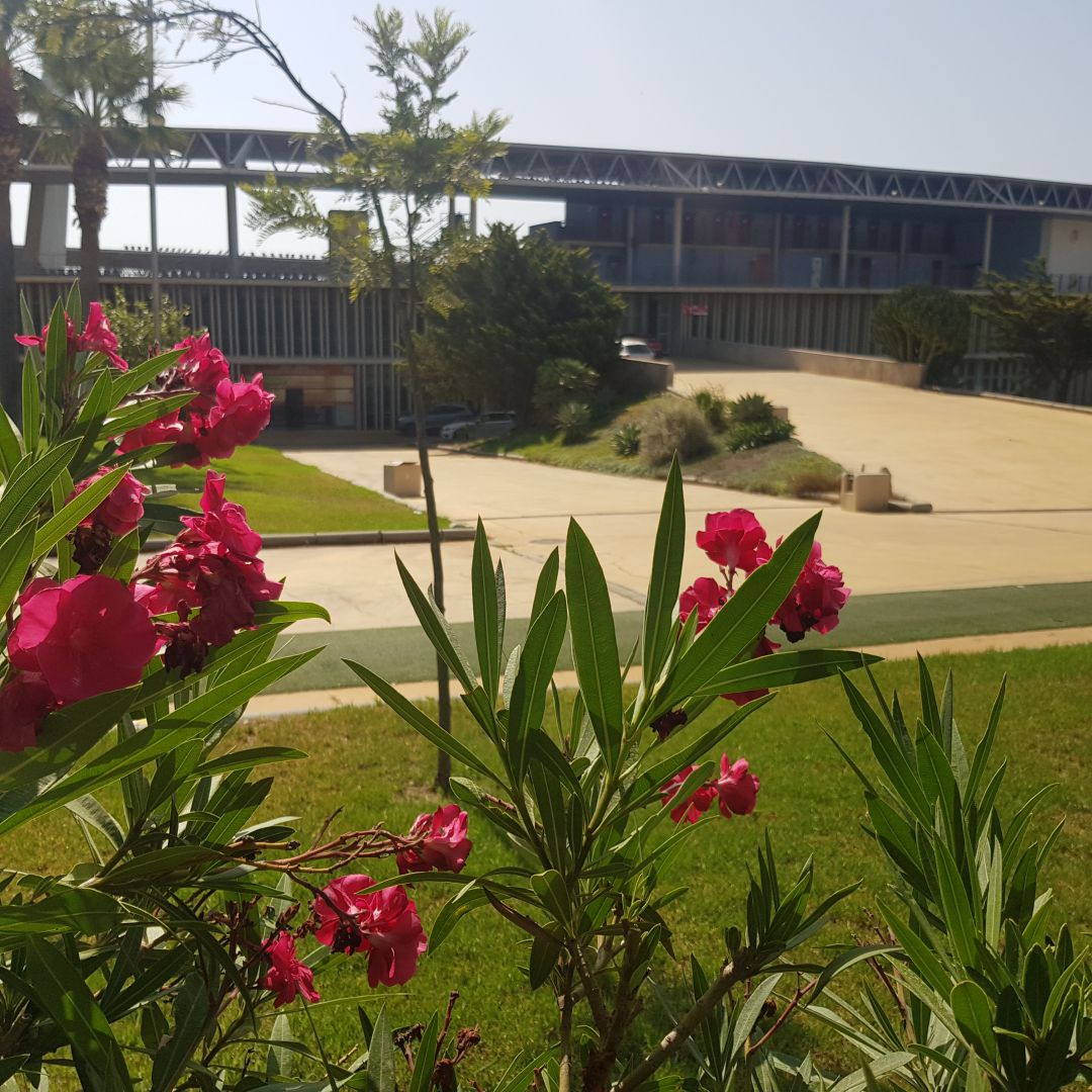 El Estadio Mediterráneo ha sido desalojado este miércoles. El Estadio Mediterráneo ha sido desalojado este miércoles.