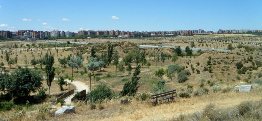 El brote se detectó inicialmente en el entorno del parque Bosquesur, entre Fuenlabrada y Leganés. El brote se detectó inicialmente en el entorno del parque Bosquesur, entre Fuenlabrada y Leganés.
