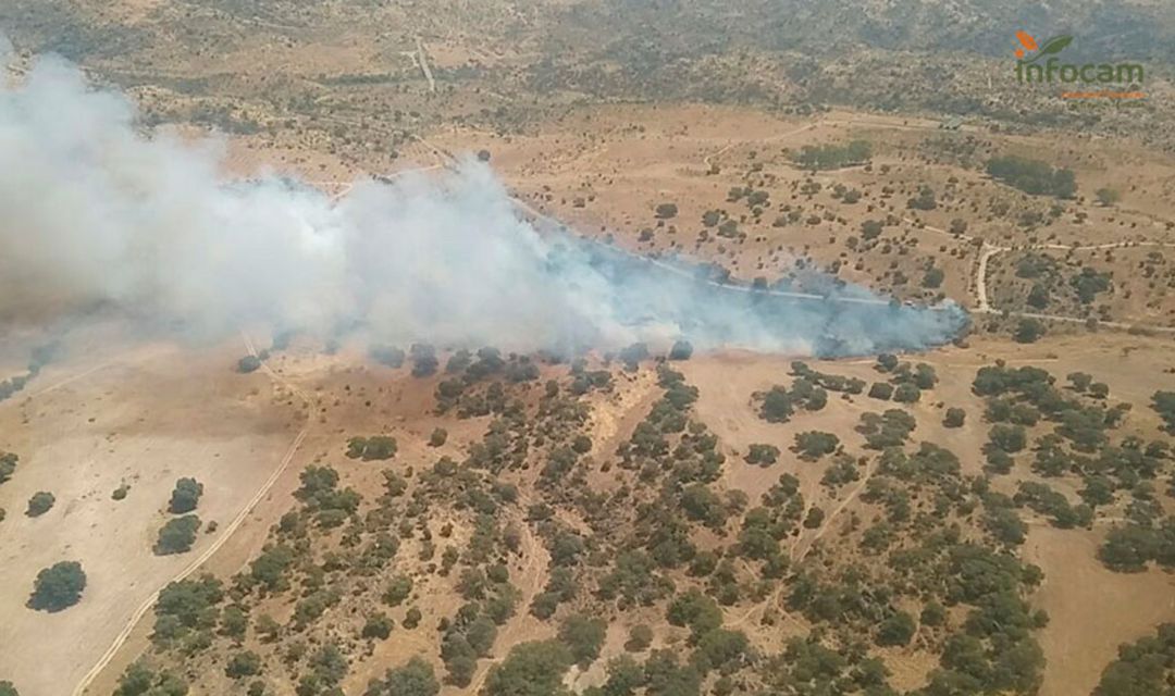 Una veintena de medios y 99 personas trabajan en la extinción de un incendio en La Estrella (Toledo) Una veintena de medios y 99 personas trabajan en la extinción de un incendio en La Estrella (Toledo)