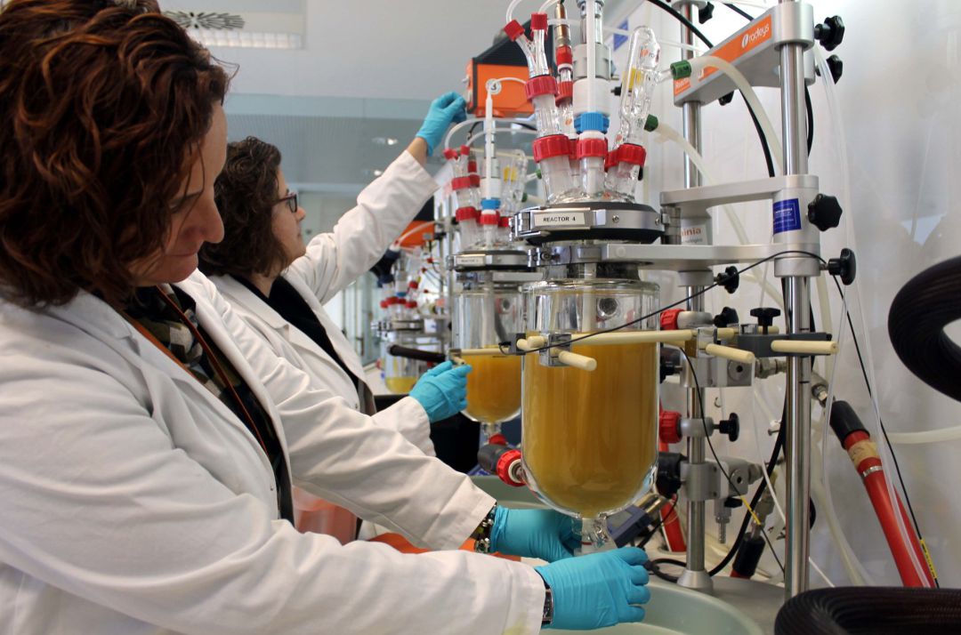 Laboratorio de Ainia. Laboratorio de Ainia.
