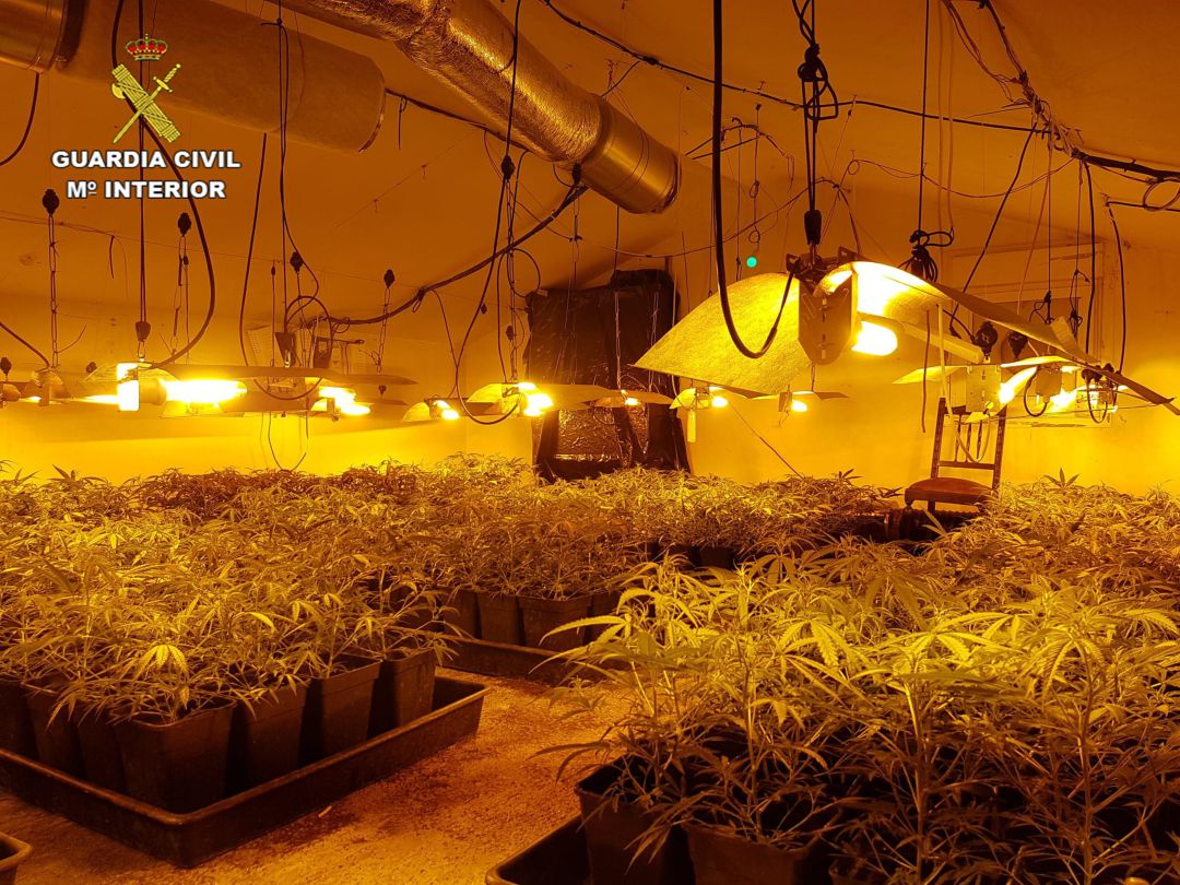 Los agentes encontraron 368 plantas de marihuana en el interior de la vivienda Los agentes encontraron 368 plantas de marihuana en el interior de la vivienda