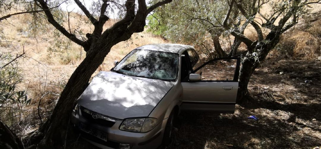 Estado del vehículo tras impactar con un árbol Estado del vehículo tras impactar con un árbol